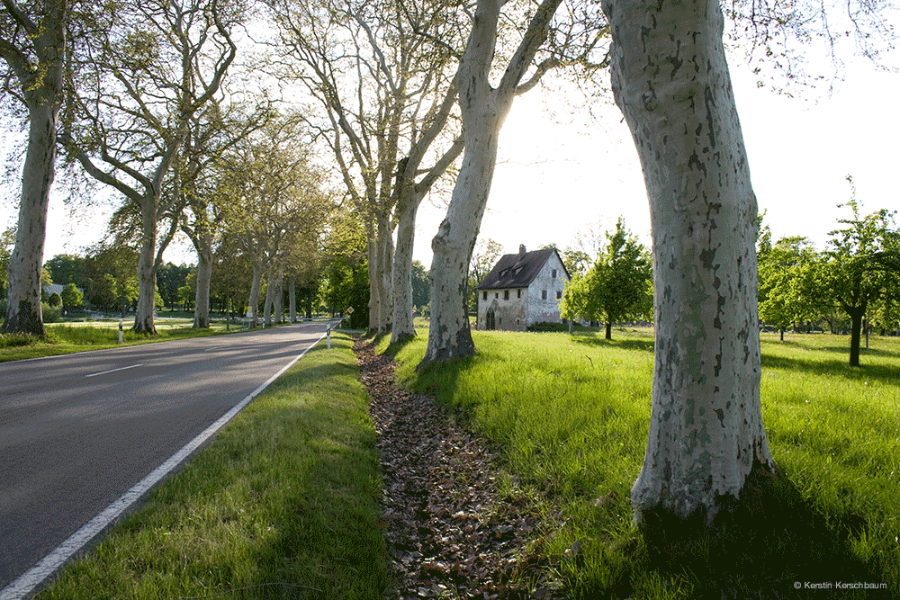 Alte B13, Seckendorfer Schloss Triesdorf und Platanenallee